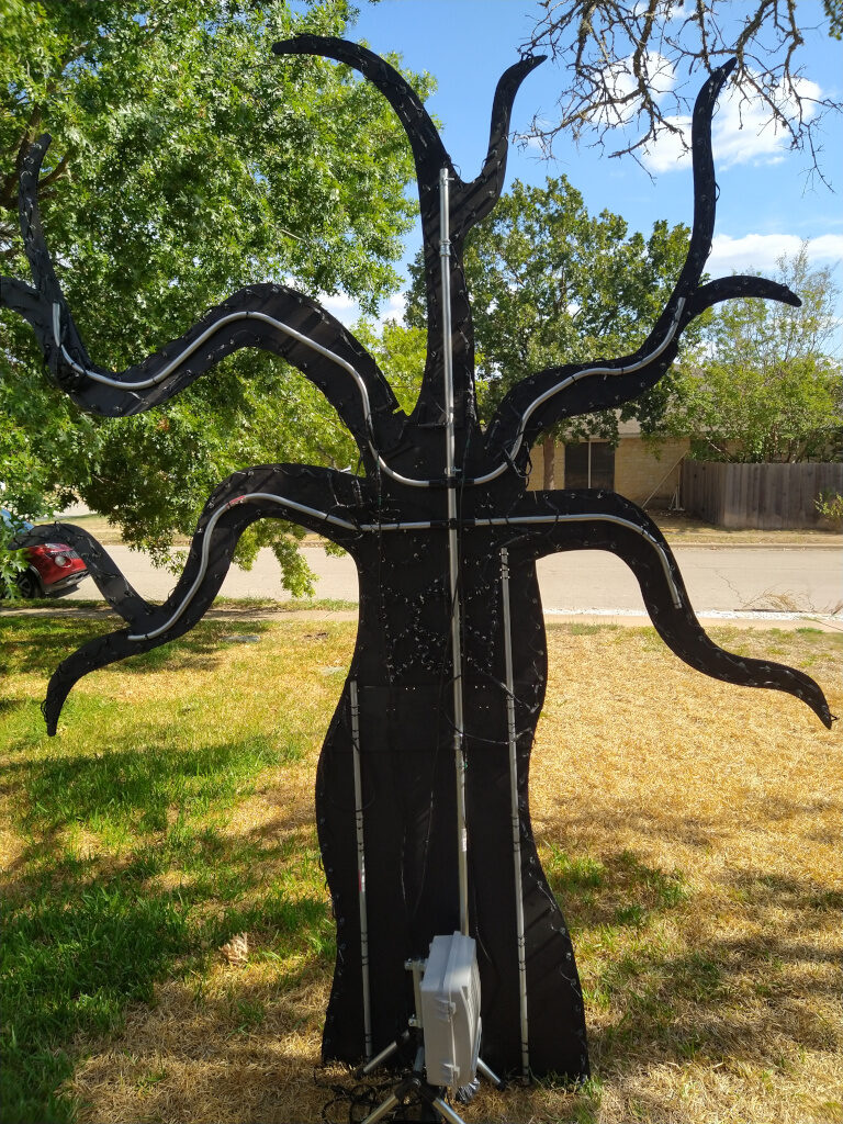 Spooky Tree, from behind